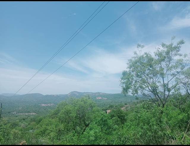 4.70HA SMALLHOLDING SOLD IN KARINO